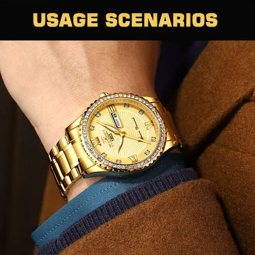 FNGEEN Gold Men's Watch Classic Stainless Steel Quartz Analog Business Gift S4527470