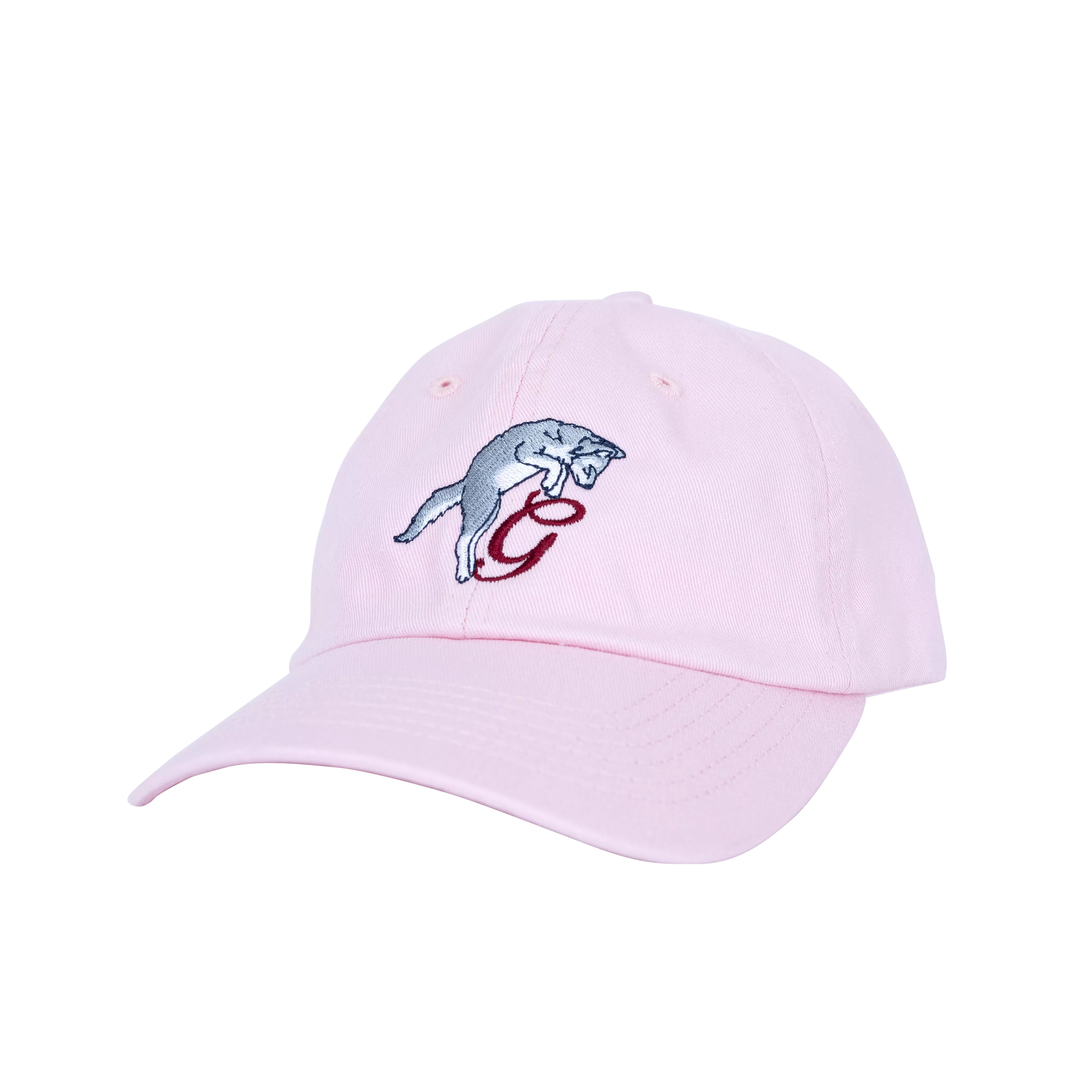 Youth Pounce G Hat